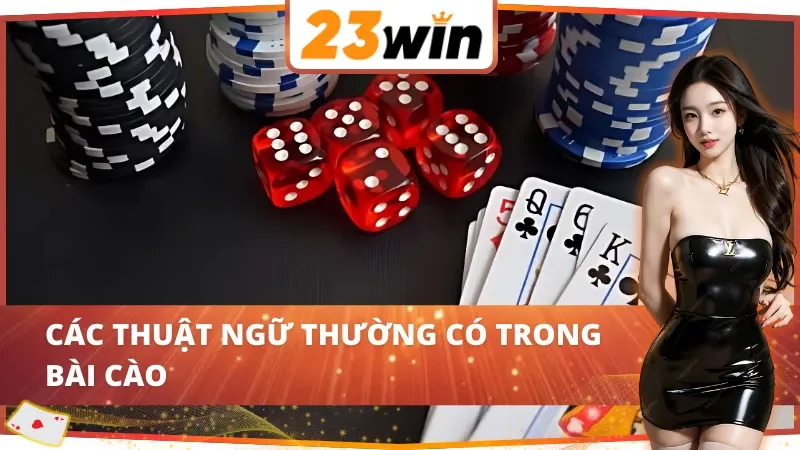 Thuật ngữ thường gặp trong bài cào 23WIN