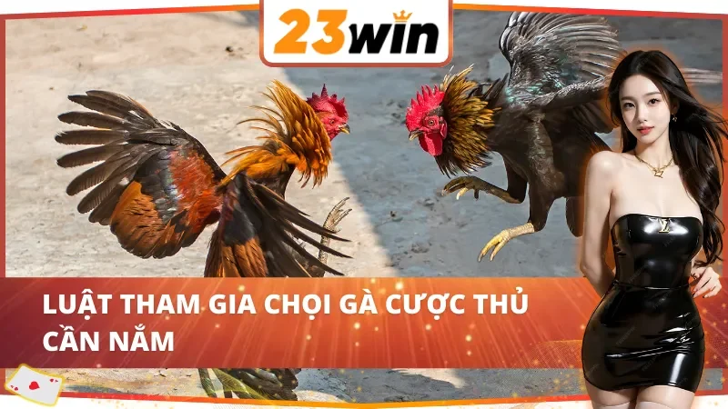 Chi tiết luật tham gia đá gà tại 23Win