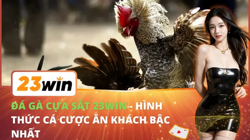 Đá Gà Cựa Sắt - Hình Thức Cá Cược Ăn Khách Bậc Nhất 23Win 12 Đá Gà Cựa Sắt