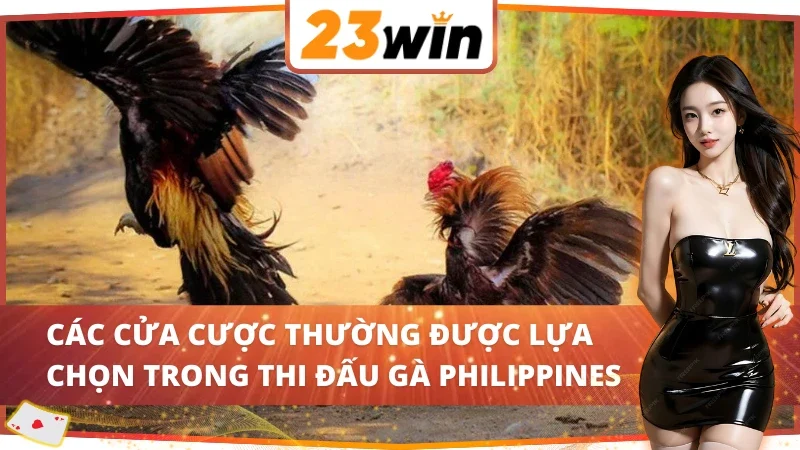 04 cửa cược hấp dẫn trong Đá Gà Philippines 23WIN