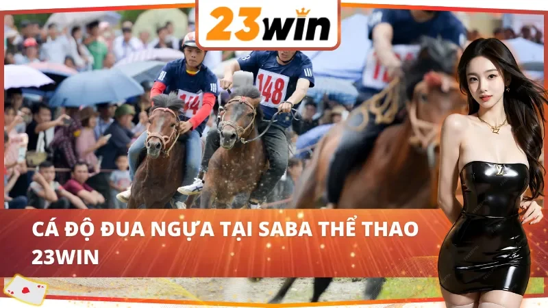Cá cược đua ngựa tại SABA thể thao 23WIN