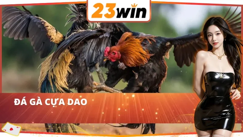 Đá gà cựa dao kịch tính tại WS168 Đá Gà 23WIN