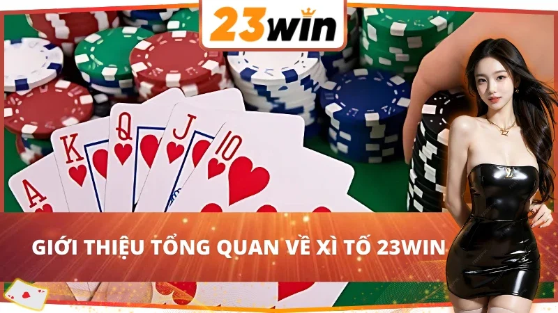 Xì Tố - Trải Nghiệm Game Bài Đẳng Cấp Nhất 23Win Hiện Nay 2 Giới thiệu tổng quan về game bài Xì Tố 23Win